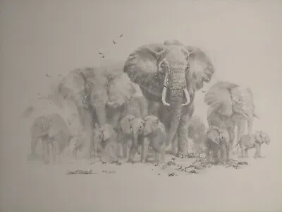 David Shepherd - Elephant Pencil Limited Edition Signed • £75