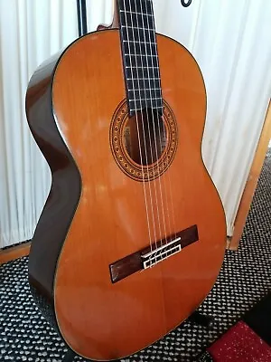 Ibanez GA-40 Classical Guitar Korean  • $219