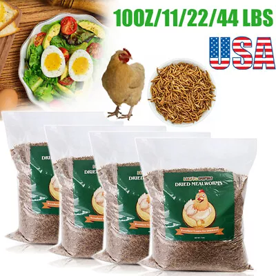 Bulk Dried Mealworms For Wild Blue Birds Hen Reptile Treats Non-GMO 11 44LBS LOT • $52.85