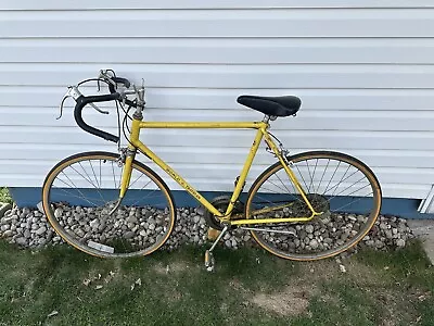 Vintage Schwinn World Traveler 10 Speed Bike • $200