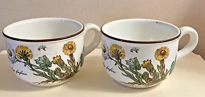 Villeroy And Boch Botanica Cups  Set Of 2 EUC • $32.80