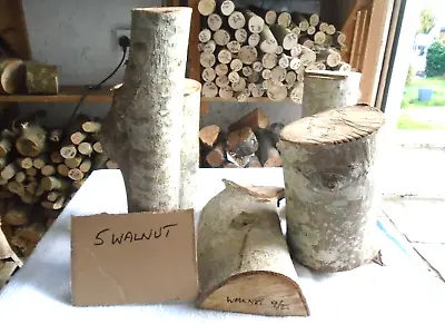 Woodturning Blanks 5 Walnut Wood Turning • £30