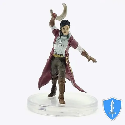 Sun Elf Arcane Cleric - Waterdeep Dragon Heist #22 D&D Miniature • $1.19