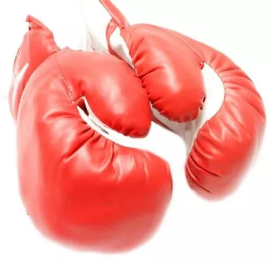 1 Pair Of New Boxing Punching Gloves And Fitness Training - Red - 4 Oz • $9.95