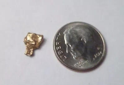 Natural Placer Gold Nugget  .51 Grams Alaska Gold Low Starting Bid • $37