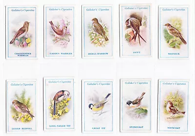 GALLAHER CIGARETTE CARDS -BRITISH BIRDS BY GEORGE RANKIN - Nos. 1-50 CARDS - VG+ • £25