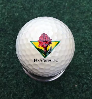 Logo Golf Ball Hawaii Red Tropical Bloom Spalding Collectible Vintage • $13.56