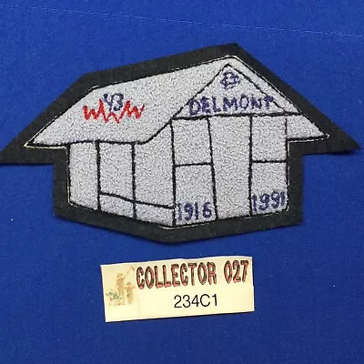 Boy Scout OA Delmont Lodge 43 C2 3?  Chenille 1991 75th Order Of The Arrow Patch • $49.99