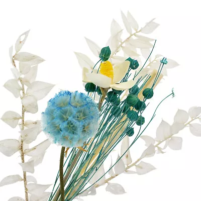 $5.25 • Buy 1 Bunch Dried Flower Rattan Reed Sticks Fragrance Stick Diffuser Refill Bathroom