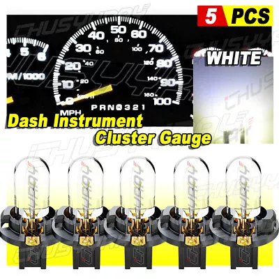 Gauge Cluster LED Dashboard Bulbs Warm White For GMC 73-87 C10 C20 C30 Truck • $12.99