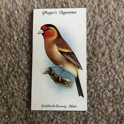 John Player Cigarette Card. Aviary And Cage Birds. No 14 Goldfinch - Canary Mule • £0.99