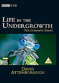 David Attenborough: Life In The Undergrowth - The Complete Seires DVD (2005) • £2.30