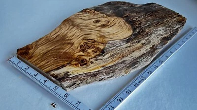 £24.99 • Buy Waney Edge Oak Chopping Board Character Serving Platter