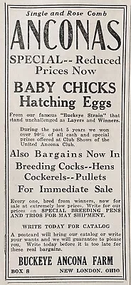 1925 Ad.(xh44)~buckeye Ancona Farm New London Ohio. Ancona Baby Chicks • £5.30