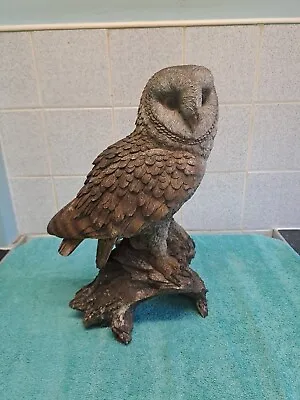 Vivid Arts Highly Detailed Realistic Eagle Owl Garden Decoration • £30