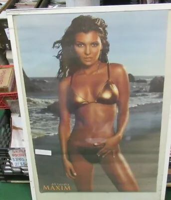 Ali Landry Poster New 2002  Vintage Collectible Hot Model Girl Sexy Maxim • $15.99