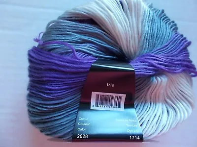 Mary Maxim Prism Variegated Roving Yarn Iris 1 Skein 290 Yds • $11.99