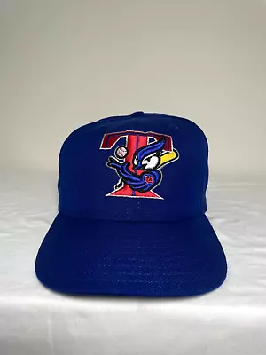 VIntage 2000s New Era Toronto Blue Jays Fiited Cap Size 7 1/2 • $29.99