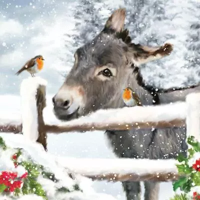 Small Charity Christmas Cards Donkey & Robin Gloss Finish - Pack Of 5 • £3.95