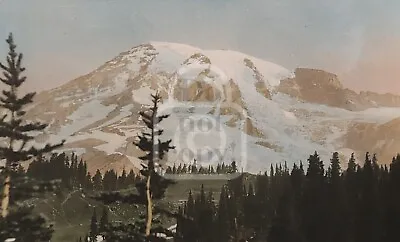 Rare Hand Tinted Photo Of Mt. Rainier From Paradise Washington. C 1920's Jacobs • $99.95