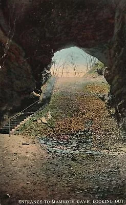 Vintage Postcard Entrance To Mammoth Cave National Park Looking Out Kentucky KY • $8.99