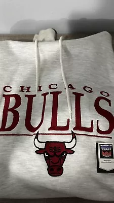 Chicago Bulls Sweatshirt Adult Extra Large XL Embroidered Hoodie Vintage 90’s • $19.99