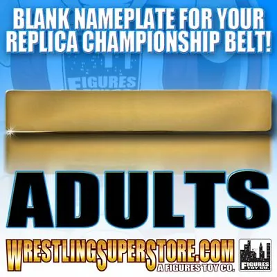 Blank Nameplate For WWE Adult Size Replica Championship Belts • $59.82