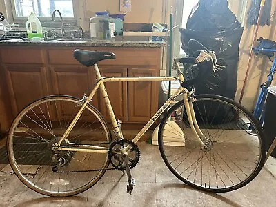 Vintage Fuji Palisade/Valite Bicycle  • $350