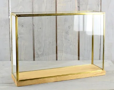 Large Glass And Brass Display Showcase With Natural Oak Base 60x38x35 Cm • $412.81