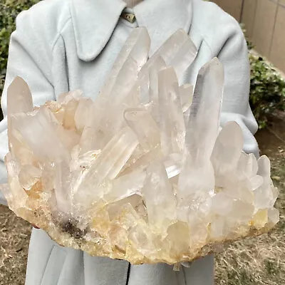 15.34LB Natural Clear Quartz Chakra Reiki Crystal Cluster Gemstone Specimen • $0.99