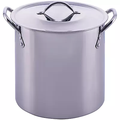 Stainless Steel Pot With Lid Cooking Kitchen Soup Stew Sauce Stockpot 8 Quart • $15.59