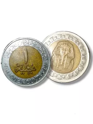 Pharaoh Egyptian Coin • £5