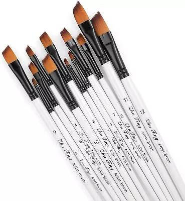 Paint Brushes 12pcs Artist Paint Brush Set Angled Paint Brushes For Acrylic Oil • £5.95