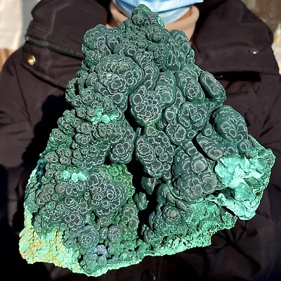 8.8LB Natural Glossy Malachite Transparent Cluster Rough Mineral Sample • $0.99