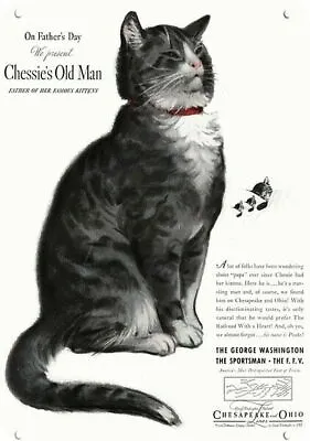 1937 CHESAPEAKE & OHIO RAILROAD Chessie Cat Peake DECORATIVE REPLICA METAL SIGN • $42.72