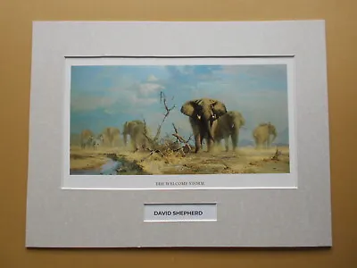 David Shepherd Print 'The Welcome Storm' Elephants  UNFRAMED • £22.50