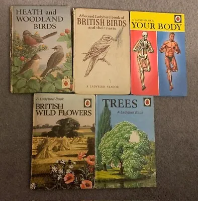 LADYBIRD -SERIES 536x5- Heath And Woodland Birds: Second Book Of British Birds+3 • £7.50