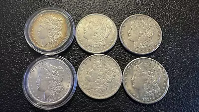 LOT Of 6 Morgan 90% Silver Dollar Coins USA! • $1