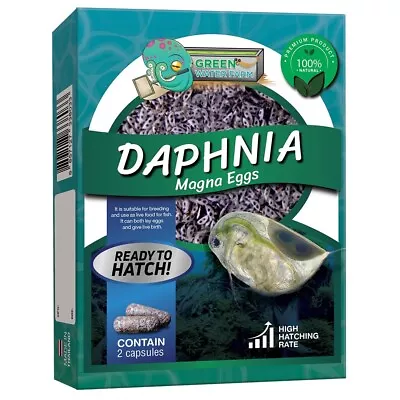 Daphnia Magna Large Waterflea Eggs • £12.47