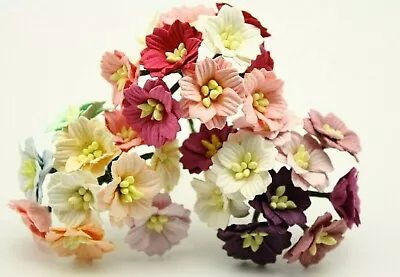 10x Mulberry Paper Mini Apple Blossom  Flowers Card Making Crafts Varied Colours • £2.15