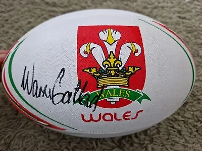Warren Gatland Signed Wales Rugby Ball Six Nations *PHOTO PROOF +COA* • £59.99