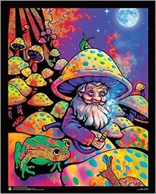 Mushroom Man - Laminated Flockless Blacklight Reactive Poster (16.5 X 20.5) • $16.99