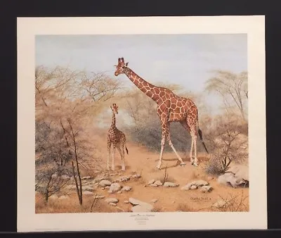 Charles Frace Quiet Time In Samburu Kenya Africa S/N Limited Edition Giraffe • $85