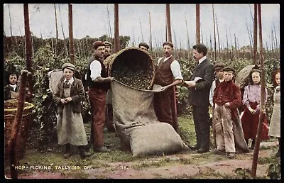 Hop Picking Tallying Off Men Children Postcard • £3.90