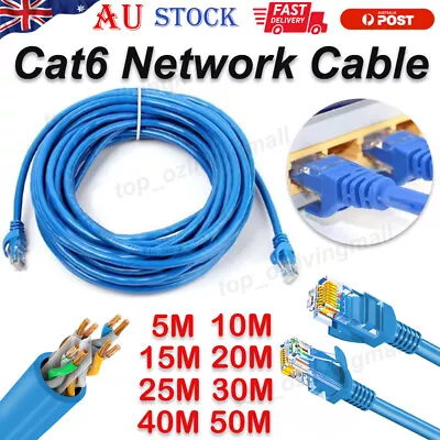 1000Mbps Cat6 Network Cable 5m 10m 15m 20m 30m 40m 50m Ethernet Lan Cable NEW AU • $23.94