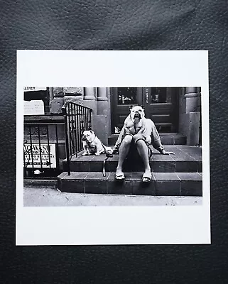 Elliott Erwitt Bulldog In New York 2000 Signed Magnum Photos Print 6x6 • $599.95