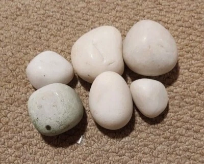 £2 • Buy Oase Biorb Feng Shui White Pebbles Gloss Decorative Stone For Fish Tank Aquarium