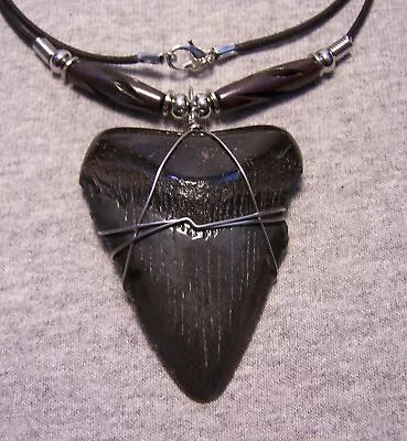 MEGALODON SHARK TOOTH NECKLACE 2 1/2  SHARKS TEETH JAW FOSSIL MAN 24  Big & Tall • $39