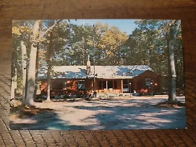 Postcard MI Michigan Montague Bursey's Acres Of Diamonds Gift Shop • $2.49