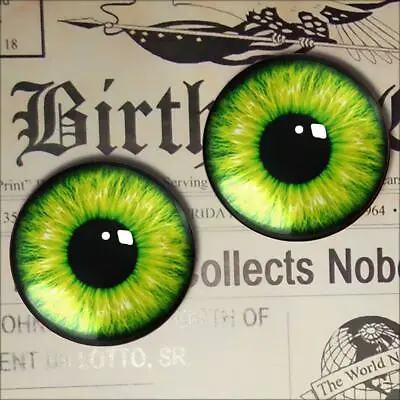 Glass Doll Eyes Realistic Green Monster Eyeballs 15mm • $8.99